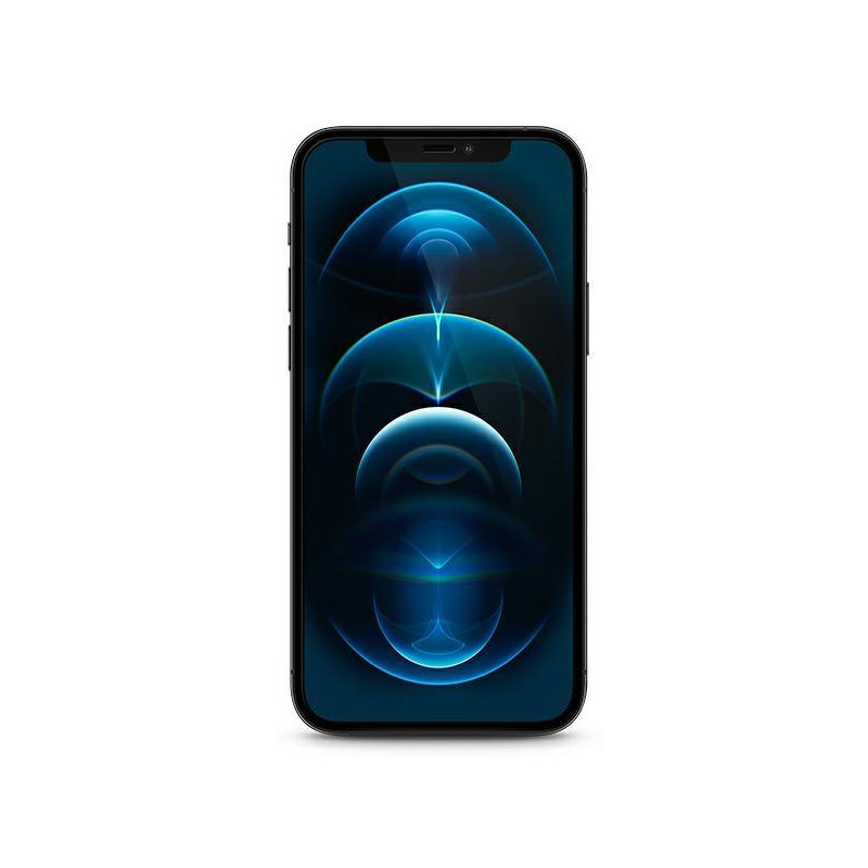 Guess Vintage Magic Logo grūdintas stiklas skirtas iPhone 12 mini