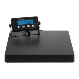 Pramoninės pašto siuntų svarstyklės 300kg / 50g LED Steinberg Systems SBS-PT-300C