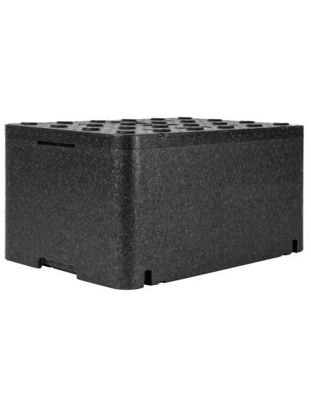Thermobox Thermos Box terminė talpa su dangteliu maisto vaistams 600x400x296mm GN1/1 48L Arpack Thermobox Thermos Box terminė talpa su dangteliu maisto vaistams 600x400x296mm GN1/1 48L Arpack