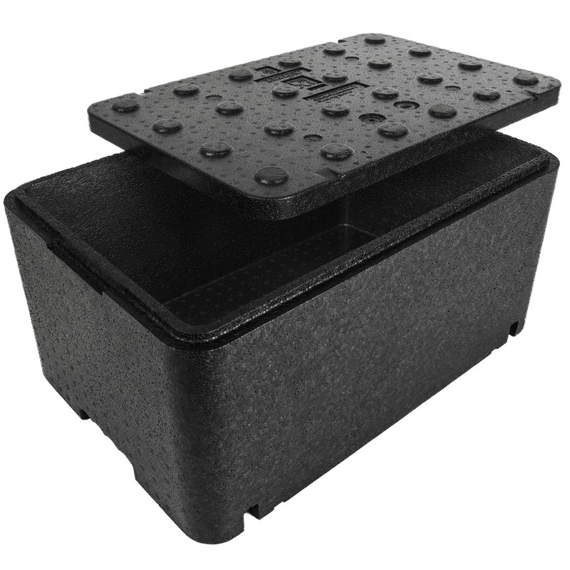 Thermobox Thermos Box terminė talpa su dangteliu maisto vaistams 600x400x296mm GN1/1 48L Arpack