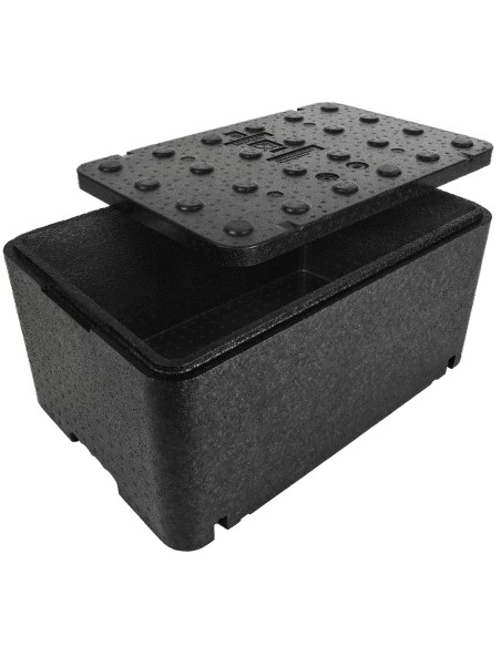 Thermobox Thermos Box terminė talpa su dangteliu maisto vaistams 600x400x296mm GN1/1 48L Arpack Thermobox Thermos Box terminė talpa su dangteliu maisto vaistams 600x400x296mm GN1/1 48L Arpack