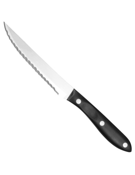 Kepsnių peilis su dantimis, nerūdijančio plieno POM rankena, ilgis 120 mm - Hendi 841167