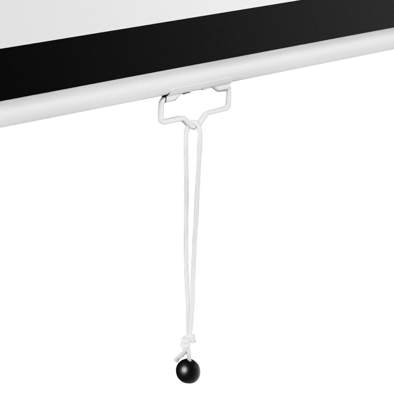Pusiau automatinis projektoriaus ekranas sieninės lubos matinės baltos 100'' 229,5x145 cm 16:9