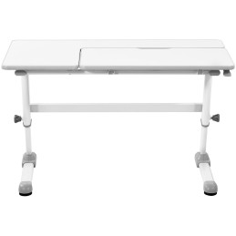 Rašomasis stalas vaikams su reguliuojamu viršumi ir 120 x 66 x 60-76 cm aukščiu
