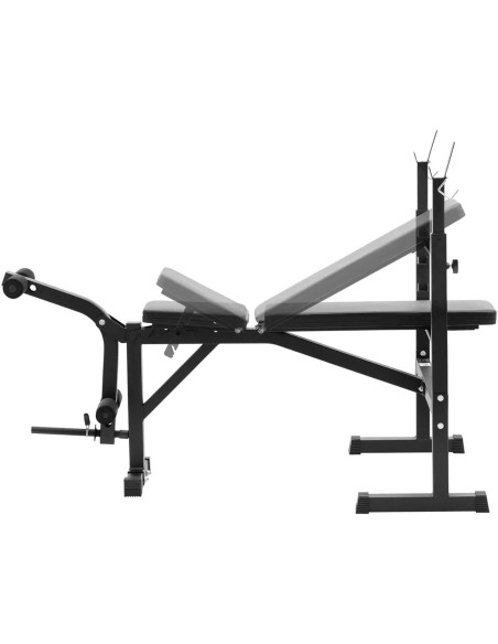 Štangos treniruočių suoliukas reguliuojamas iki 100 kg