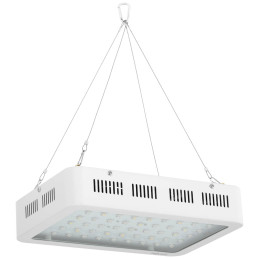 Augalų augimo lempa Hillvert LED 600W balta