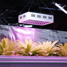 Augalų augimo lempa Hillvert LED 600W balta