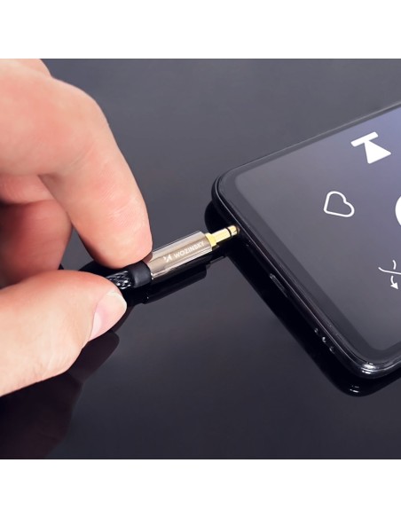 Universalus kabelio mini lizdas AUX 3m juodas