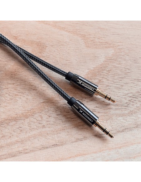 Universalus kabelio mini lizdas AUX 3m juodas