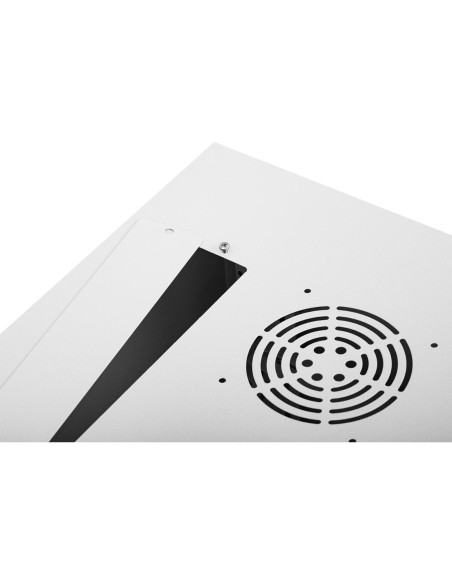 RACK serverio spintelės pakabinamas patch laidas 19'' 6U IP20 iki 75 kg 54x40x35 cm