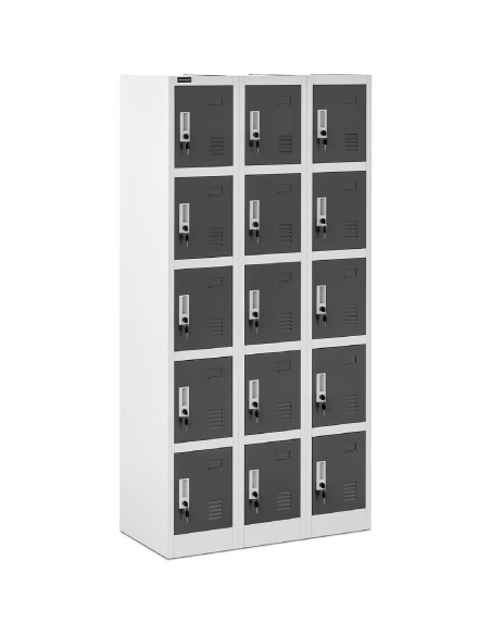 Spintelė su spintelėmis, metalinė, rūbinei, 15 spintelių raktui Spintelė su spintelėmis, metalinė, rūbinei, 15 spintelių raktui