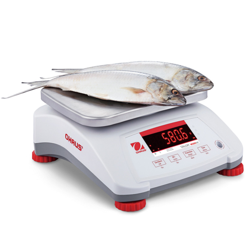 VALOR 4000 svarstyklės su legalizavimu virtuvės gastronomija vandeniui IP68 LED 1,5Kg / 0,5g - OHAUS V41PWE1501T-M