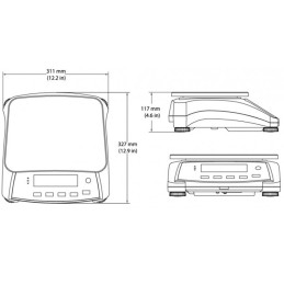 Pramoninės kompaktiškos elektroninės svarstyklės RANGER 3000 3kg / 0,1g - OHAUS R31P3