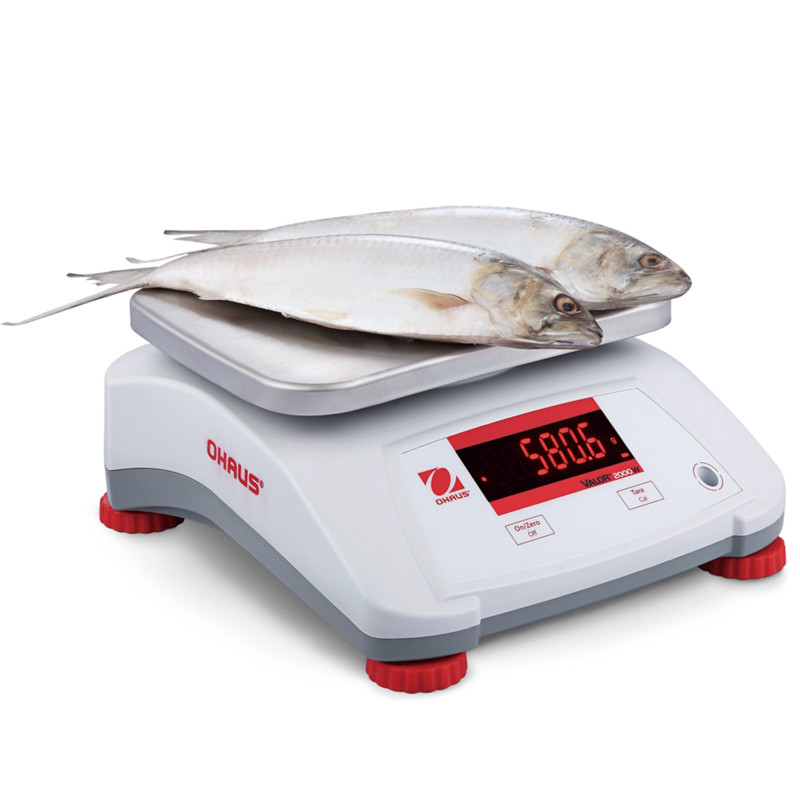 Patikrinkite virtuvines svarstykles, atsparias vandeniui IP68 VALOR 2000 30kg / 5kg - OHAUS V22PWE30T