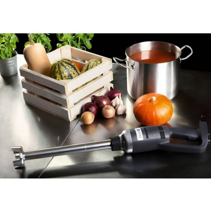 Galingas maišytuvas maišytuvas rankinis robotas 400 mm 500 W 230 V Royal Catering