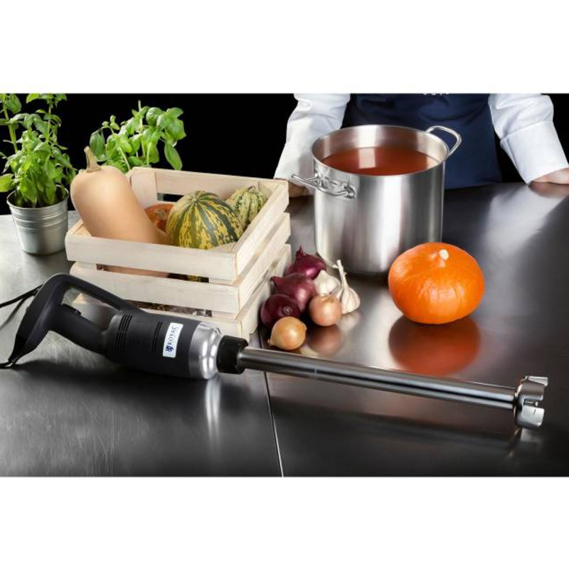 Galingas maišytuvas maišytuvas rankinis robotas 400 mm 500 W 230 V Royal Catering
