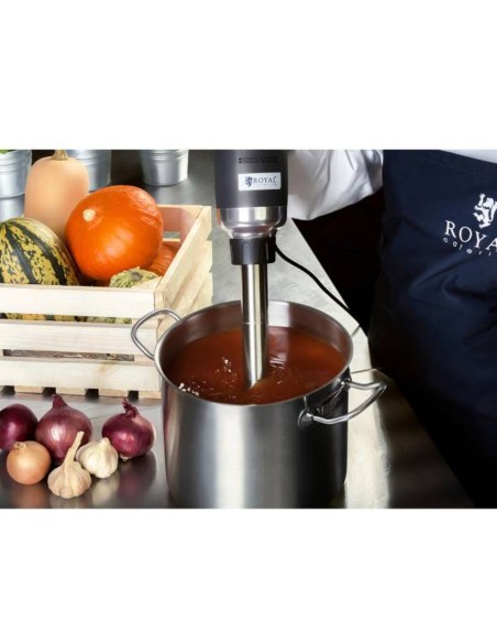 Galingas maišytuvas maišytuvas rankinis robotas 400 mm 500 W 230 V Royal Catering Galingas maišytuvas maišytuvas rankinis robotas 400 mm 500 W 230 V Royal Catering