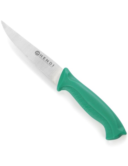 Peilis daržovėms ir vaisiams dantytas HACCP 205mm - žalias - HENDI 842119 Peilis daržovėms ir vaisiams dantytas HACCP 205mm - žalias - HENDI 842119