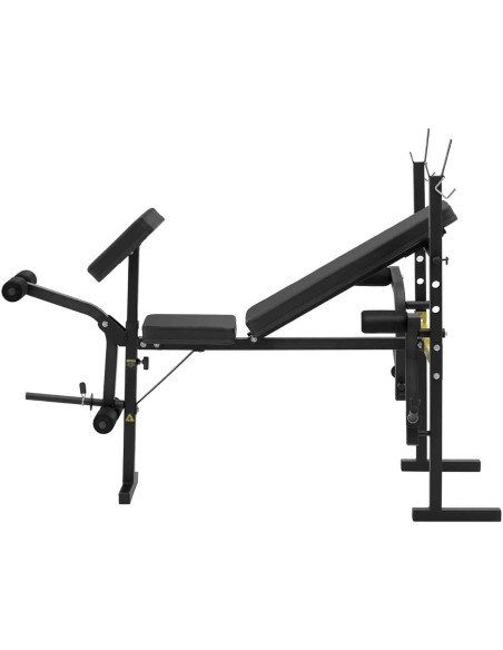 Štangos treniruočių suoliukas su pamokslininku reguliuojamas iki 100 kg