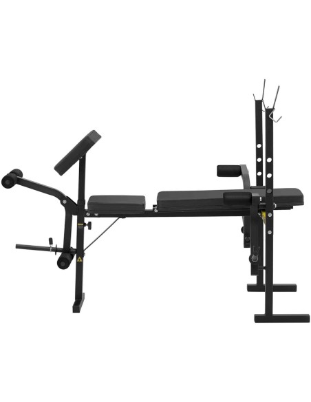 Štangos treniruočių suoliukas su pamokslininku reguliuojamas iki 100 kg
