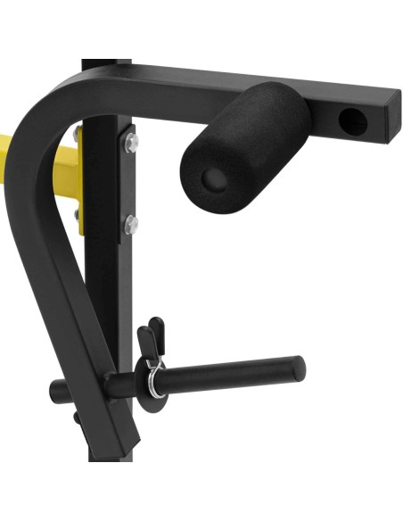 Štangos treniruočių suoliukas su pamokslininku reguliuojamas iki 100 kg