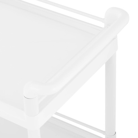 Kosmetinių procedūrų laboratorinis vežimėlis su 2 lentynomis 83 x 54 x 93 cm Kosmetinių procedūrų laboratorinis vežimėlis su 2 lentynomis 83 x 54 x 93 cm