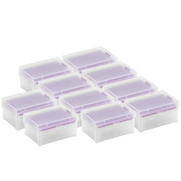 
Pipetės antgaliai 200 ul be DNazės/ RNazės - rinkinys 10 x 96 vnt.
