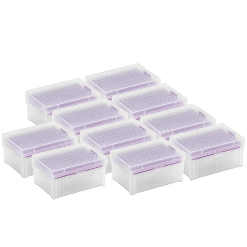 Pipetės antgaliai 200 ul be DNazės/ RNazės - rinkinys 10 x 96 vnt.