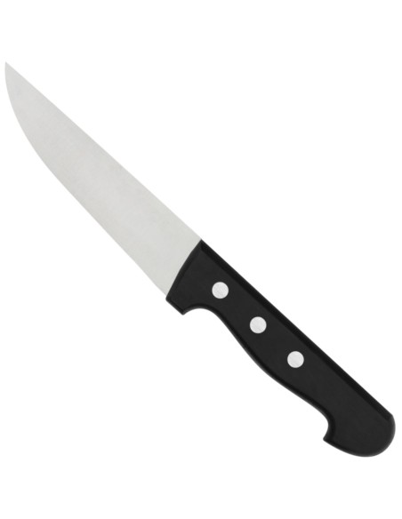 Peilis žaliai mėsai pjaustyti, ilgis 145 mm SUPERIOR Peilis žaliai mėsai pjaustyti, ilgis 145 mm SUPERIOR