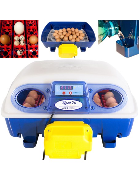 Automatinis inkubatorius 24 kiaušiniams su vandens dozatoriumi profesionaliu 100 W Automatinis inkubatorius 24 kiaušiniams su vandens dozatoriumi profesionaliu 100 W