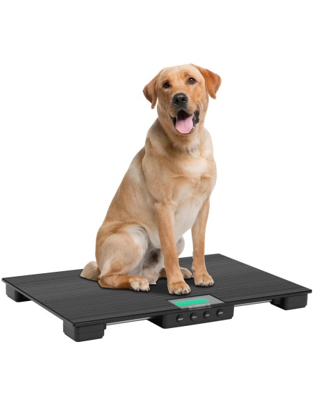 Veterinarinės platforminės svarstyklės gyvūnams 63 x 40 cm 30 kg / 10 g
 
Veterinarinės platforminės svarstyklės gyvūnams 63 x 40 cm 30 kg / 10 g