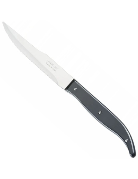 Steak peilis STEAK BASIC 110/ 230 mm - juodas
 
Steak peilis STEAK BASIC 110/ 230 mm - juodas