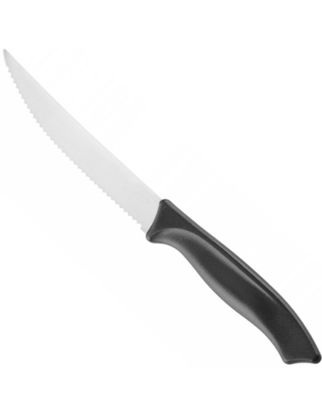 Dantytas kepsnių peilis 117/ 227 mm
 
Dantytas kepsnių peilis 117/ 227 mm