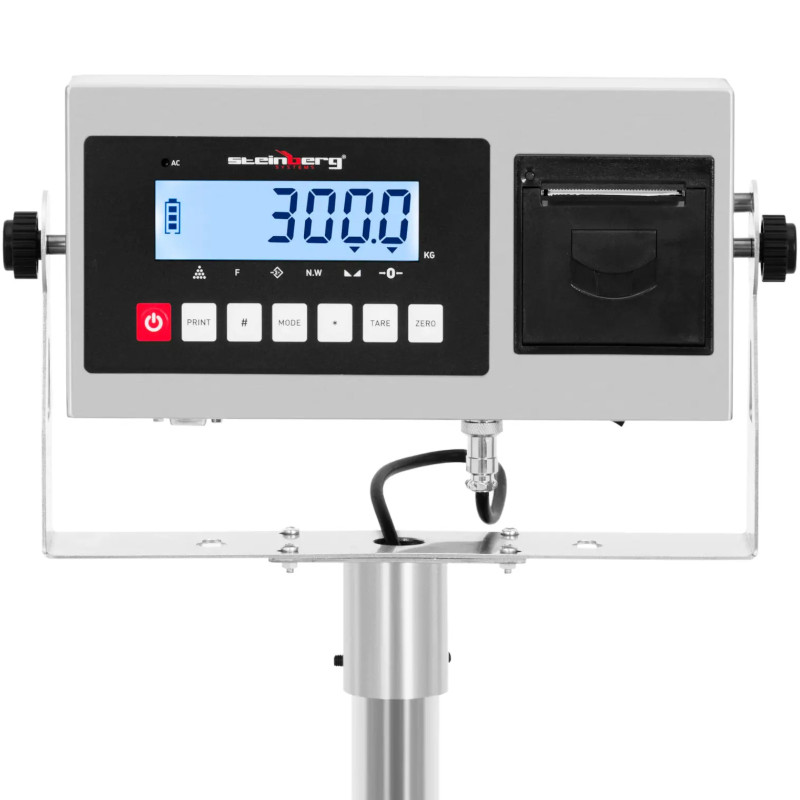 Platforminės svarstyklės su LCD etikečių spausdintuvu 50 x 40 cm 300 kg / 10 g