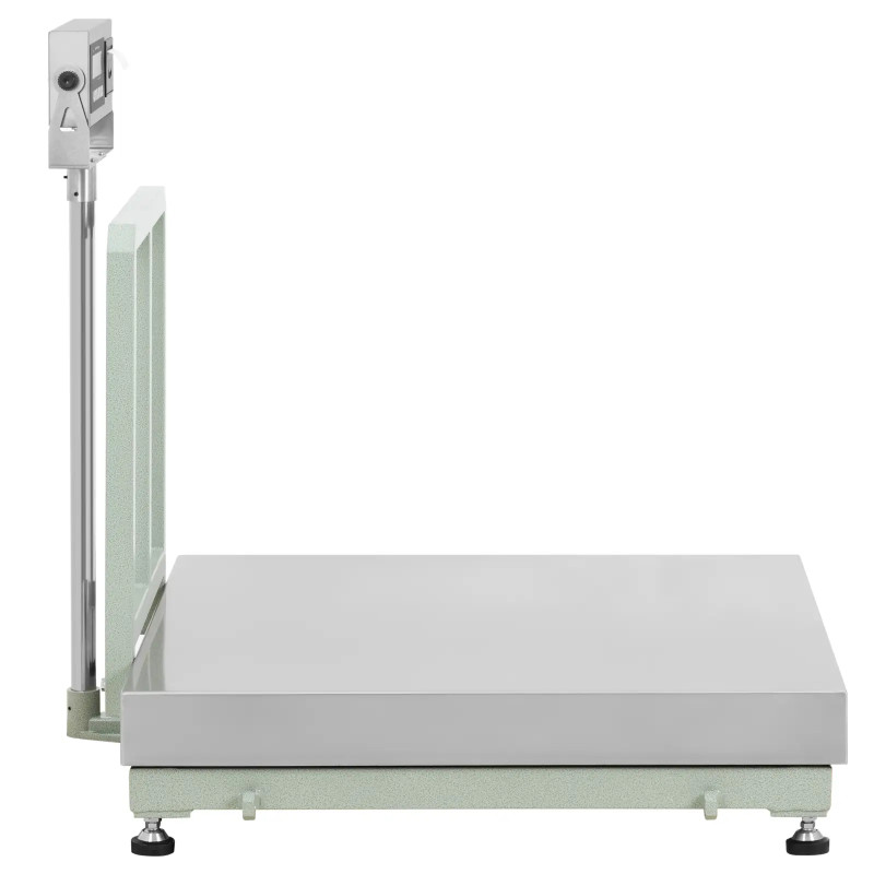 Platforminės svarstyklės su LCD etikečių spausdintuvu 100 x 100 cm 800 kg / 100 g