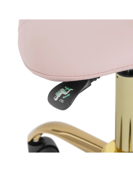 Balnelio kosmetinė kėdė su reguliuojamu atlošu MANNHEIM rose gold
 
Balnelio kosmetinė kėdė su reguliuojamu atlošu MANNHEIM rose gold