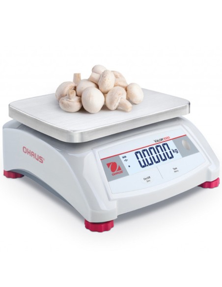 VALOR 1000 elektroninės gastronomijos valdymo stalo svarstyklės 15kg / 2g - OHAUS V12P15 VALOR 1000 elektroninės gastronomijos valdymo stalo svarstyklės 15kg / 2g - OHAUS V12P15