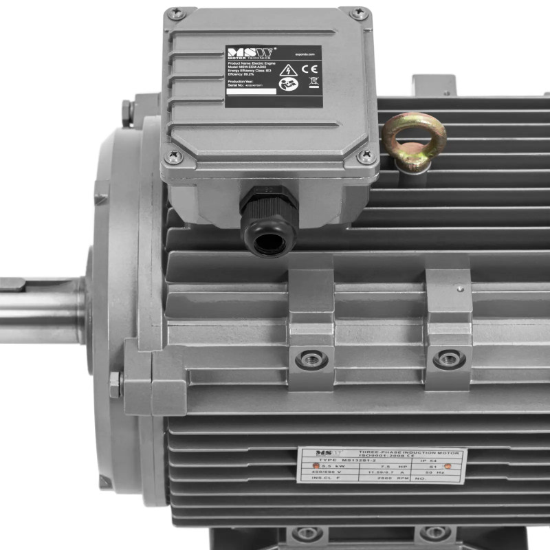 Trifazis asinchroninis elektros variklis 2950 aps./ min 230/ 400 V 5,5 kW