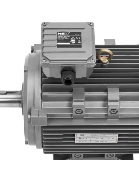 Trifazis asinchroninis elektros variklis 2950 aps./ min 230/ 400 V 5,5 kW
 
Trifazis asinchroninis elektros variklis 2950 aps./ min 230/ 400 V 5,5 kW