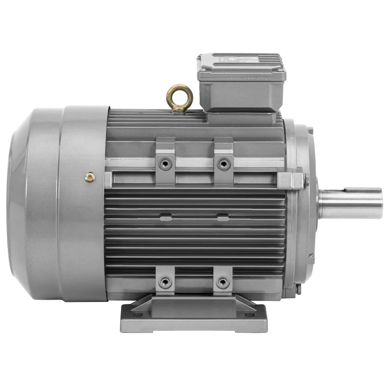 Trifazis asinchroninis elektros variklis 2950 aps./ min 230/ 400 V 5,5 kW