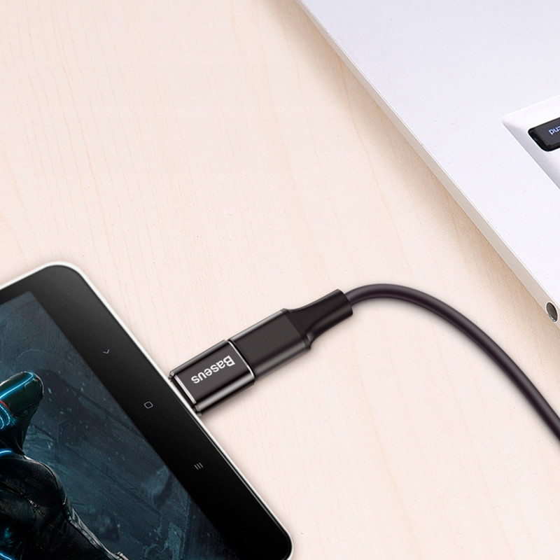 Adapteris Mini Micro USB į USB-C adapteris – juodas