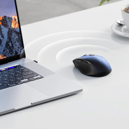 
Pelė optinė pelė belaidė USB 2.4GHz 4000 DPI – mėlyna
