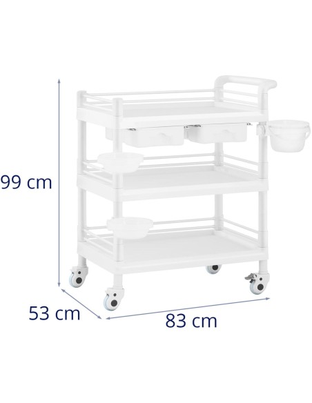 Kosmetikos laboratorinis vežimėlis 3 lentynos 2 stalčiai 3 konteineriai 83 x 53 x 99 cm 60 kg Kosmetikos laboratorinis vežimėlis 3 lentynos 2 stalčiai 3 konteineriai 83 x 53 x 99 cm 60 kg