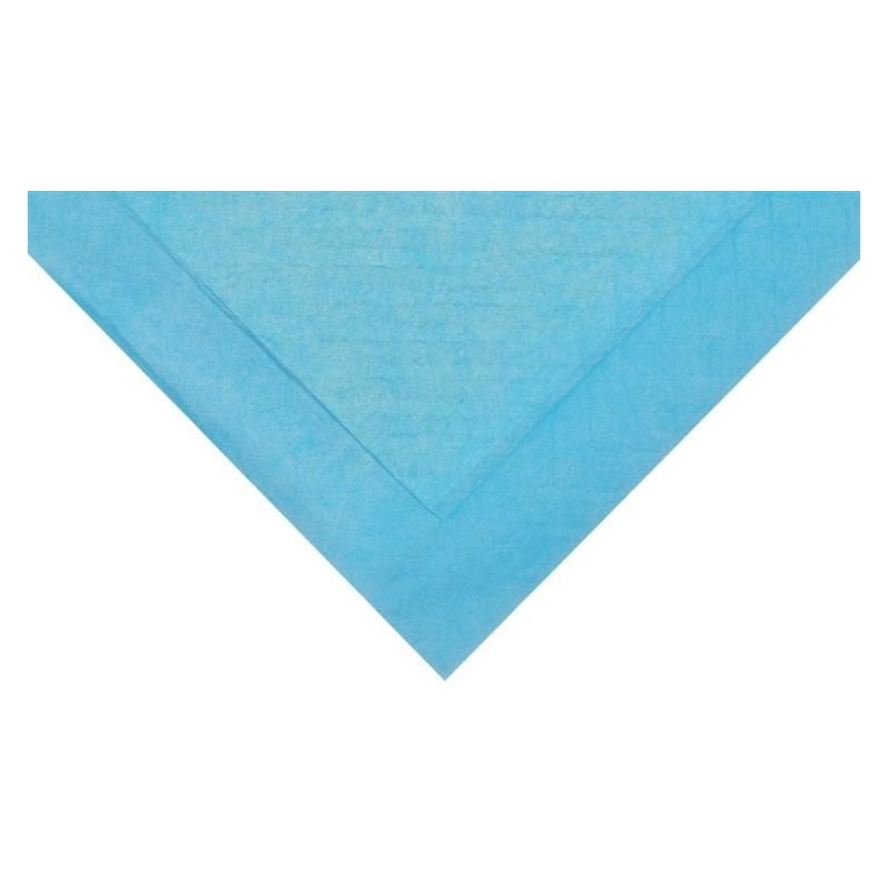 Vienkartinės šunų palutės 50 vnt. 60x45 cm 5