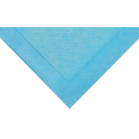 Vienkartinės šunų palutės 50 vnt. 60x45 cm 5