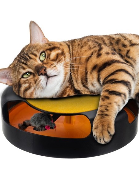 Kačių žaislas – ratas su pele