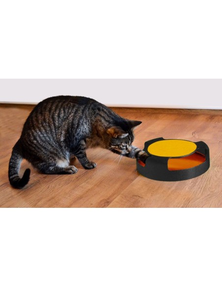 Kačių žaislas – ratas su pele