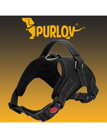 Beslėgiai petnešos šunims S