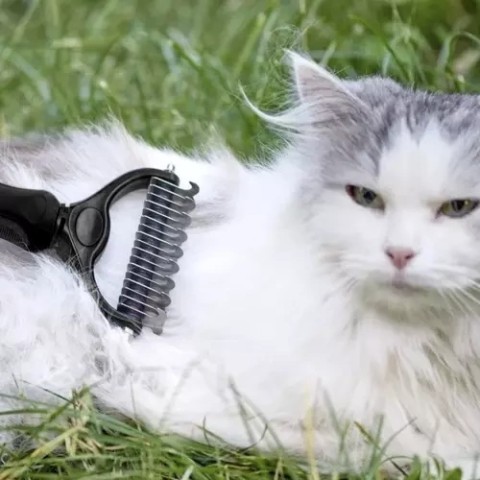 Purlov 20427 žoliapjovė/ plaukų šukos