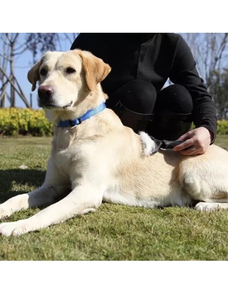 Purlov 20427 žoliapjovė/ plaukų šukos